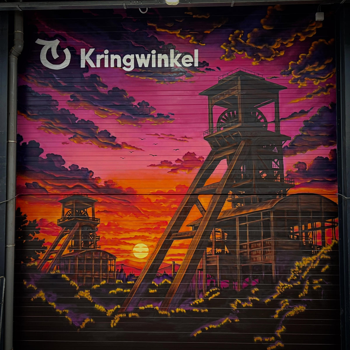 Kring des levens